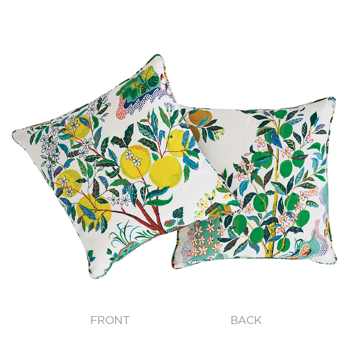 Citrus Garden Indoor/Outdoor Pillow | Primary