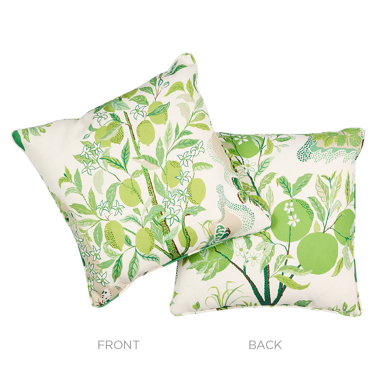 Citrus Garden Indoor/Outdoor Pillow | Leaf