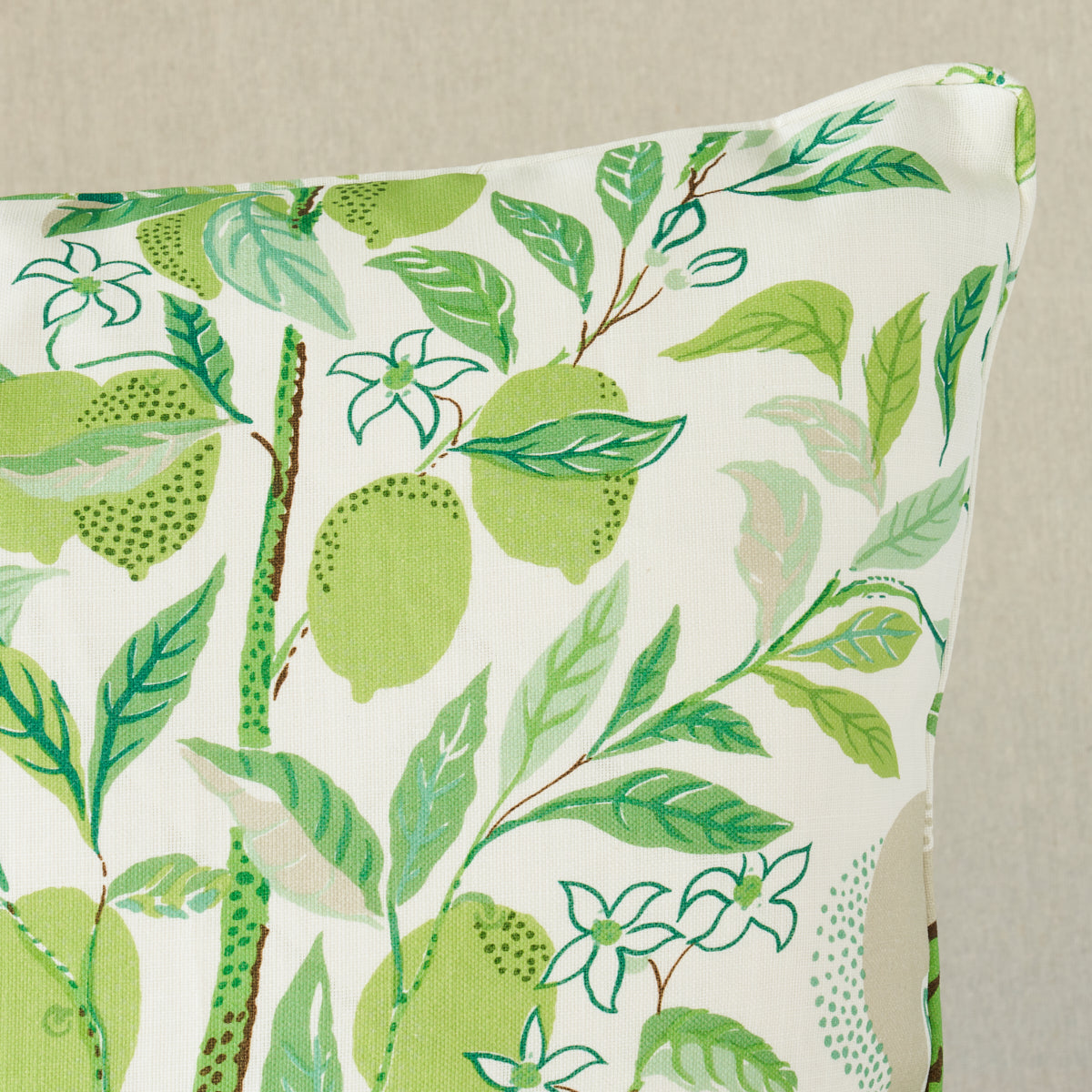 Citrus Garden Indoor/Outdoor Pillow | Leaf