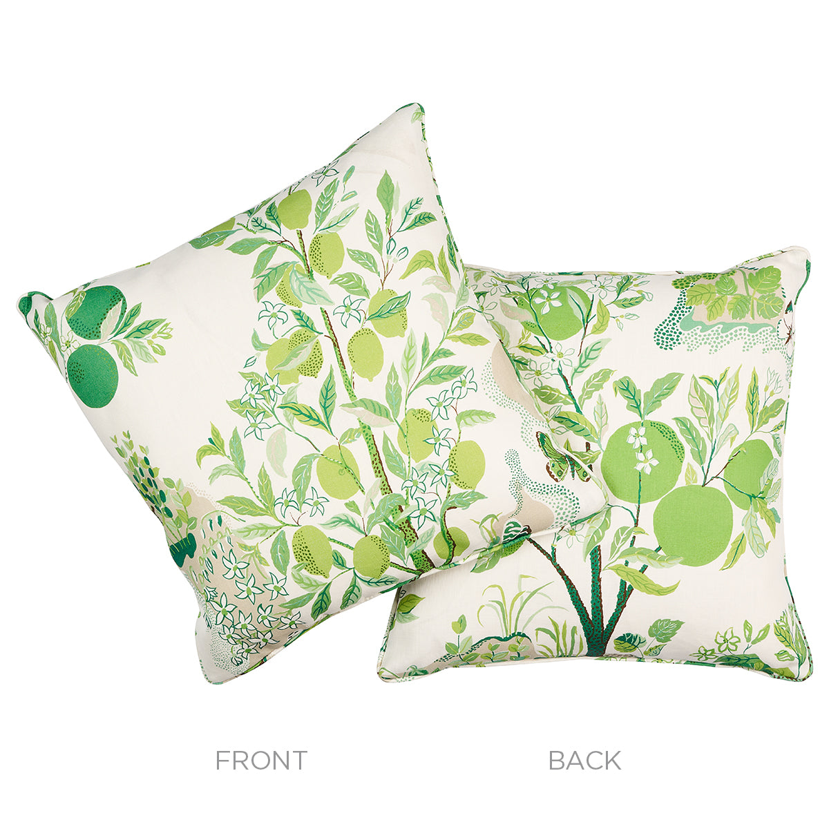 Citrus Garden Indoor/Outdoor Pillow | Leaf