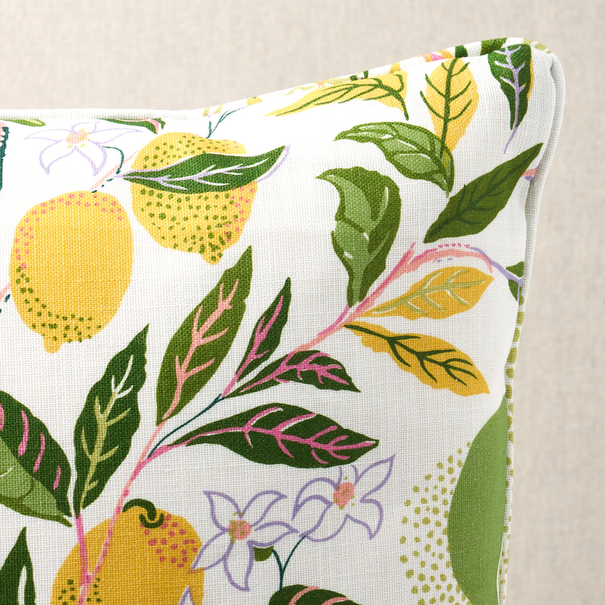 Citrus Garden Indoor/Outdoor Pillow | Garden