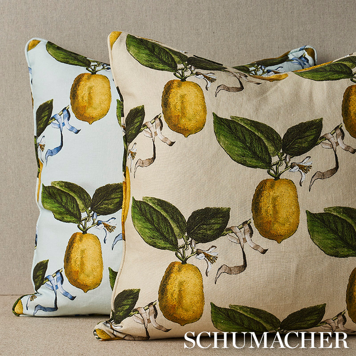 Le Citron Pillow | Sky