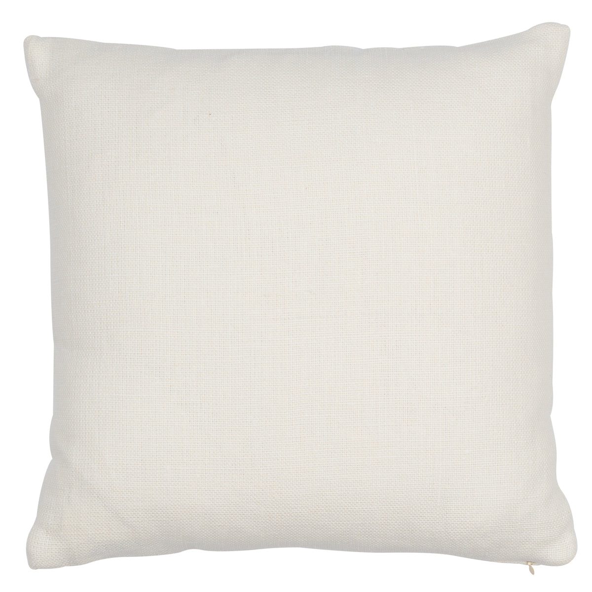 Ashoka Pillow | Ivory & Blue