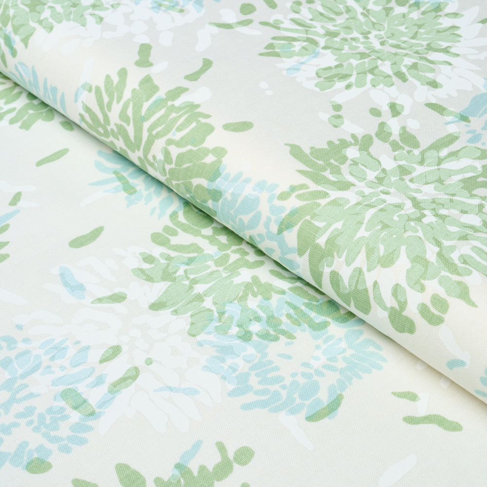 Chrysanthemum By Tillett | Green & Sky