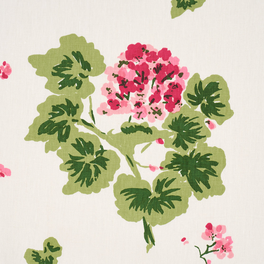 Geranium | Pinks