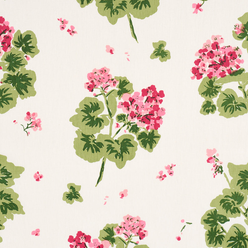 Geranium | Pinks