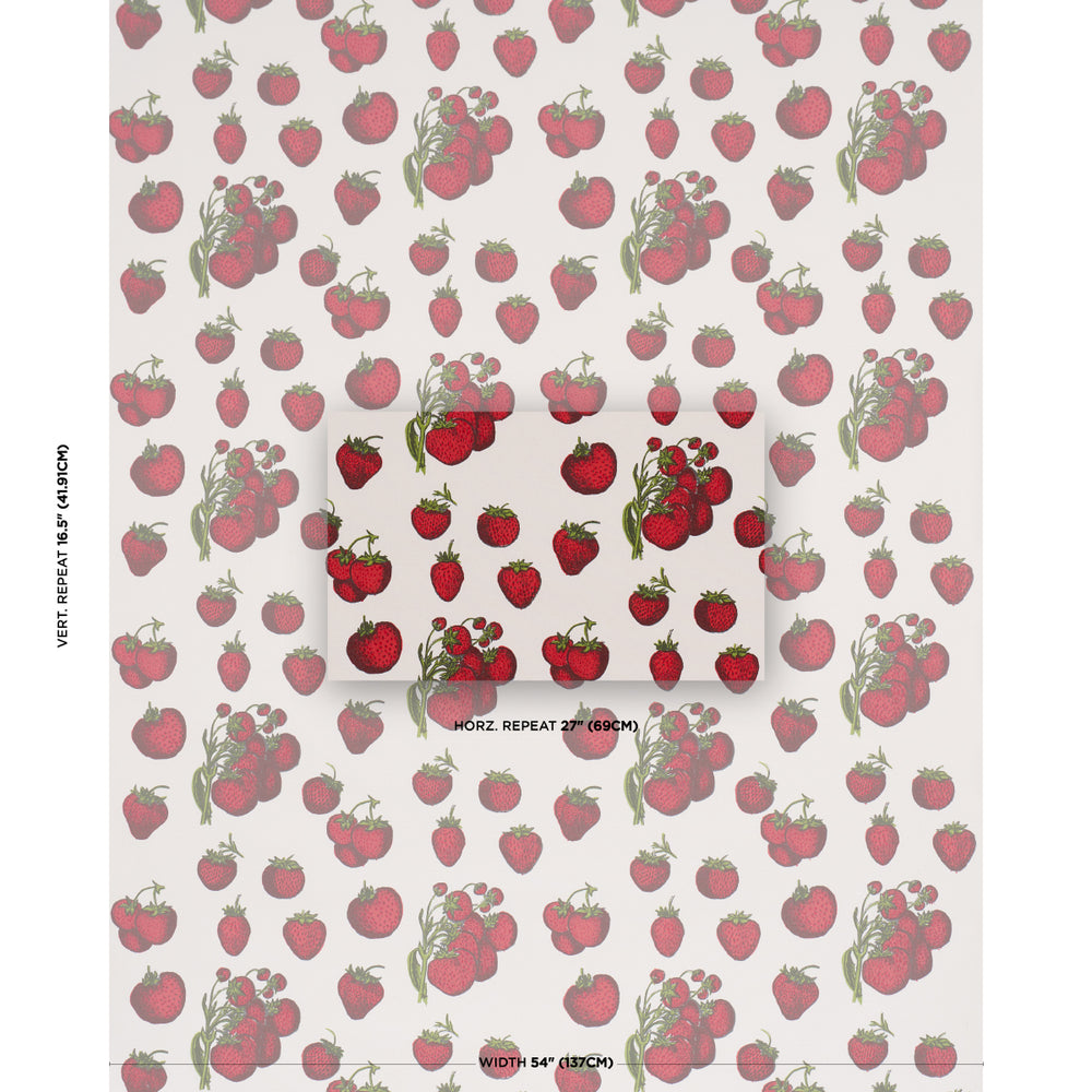 STRAWBERRY FIELDS | Red