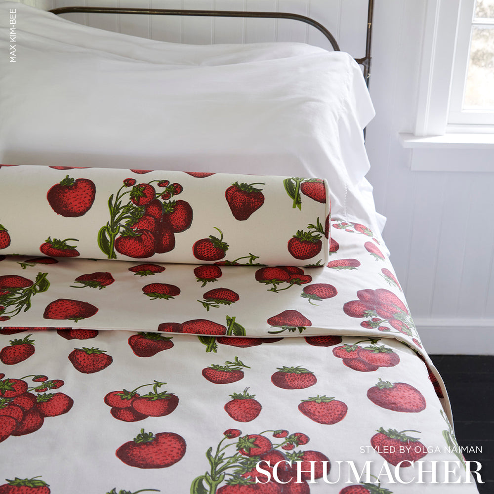 STRAWBERRY FIELDS | Red