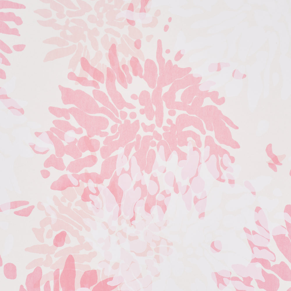 CHRYSANTHEMUM BY TILLETT | Pinky
